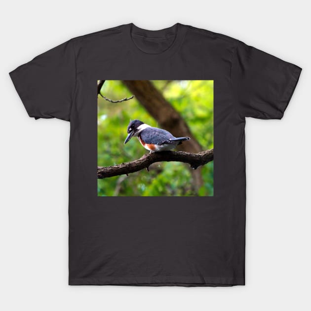 Belted Kingfisher Perched In A Tree T-Shirt by BackyardBirder